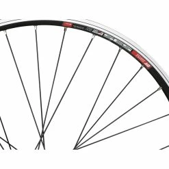 Bc Basic DT Swiss 535 + Shimano T3000 / DH-C3000 26" Laufrad -Fulcrum Verkäufe 299602