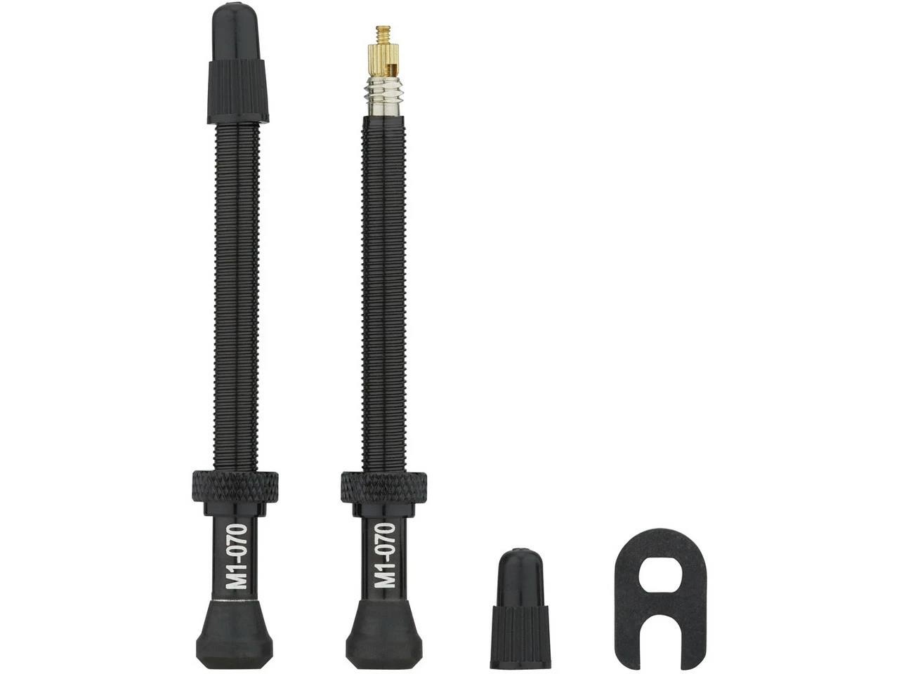 Fulcrum Road Tubelessventil-Kit Für Symmetrische Felgen 12 Fulcrum Road Tubelessventil-Kit Für Symmetrische Felgen – Bild 10